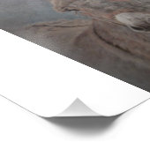 Donkey Fotodruck (Ecke)