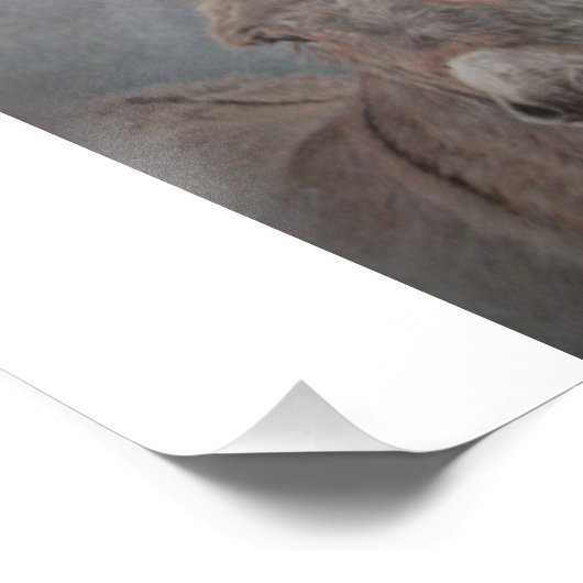 Donkey Fotodruck (Ecke)