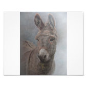 Donkey Fotodruck (Vorne)