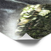 DONKEY FOTODRUCK (Ecke)