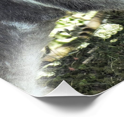 DONKEY FOTODRUCK (Ecke)