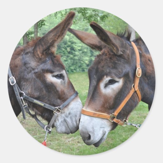 Donkey-Freunde Runder Aufkleber (Vorderseite)
