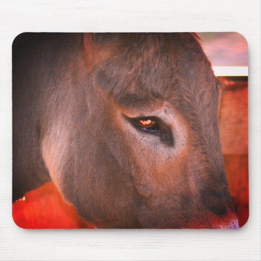 Donkey-Gedanken Mousepad (Vorne)