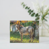 Donkey Gepunktete Postkarte (Stehend Vorderseite)