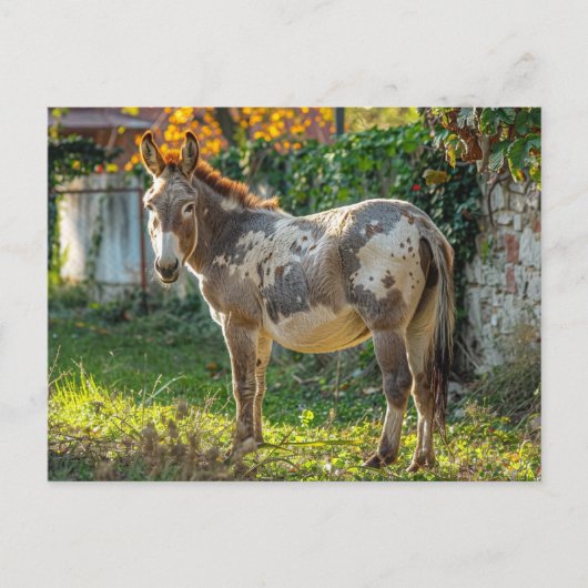 Donkey Gepunktete Postkarte (Vorderseite)