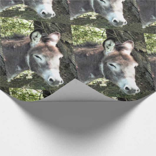 DONKEY GESCHENKPAPIER (Ecke)