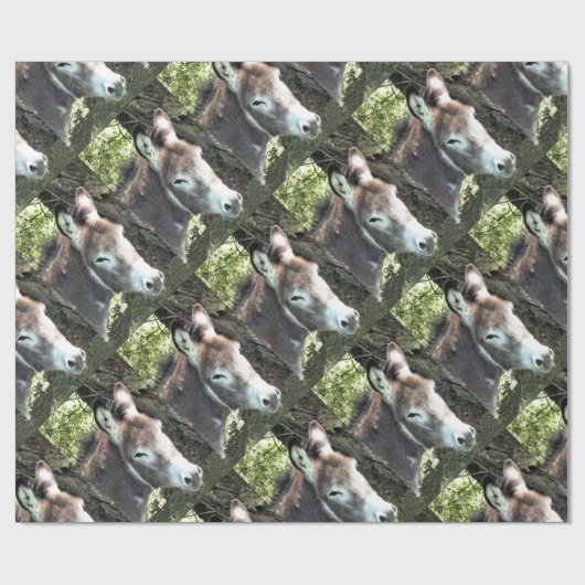 DONKEY GESCHENKPAPIER (Flach)