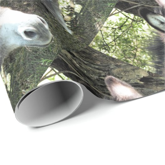 DONKEY GESCHENKPAPIER (Rolleneckpunkt)