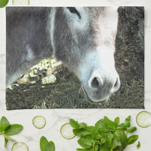 DONKEY GESCHIRRTUCH (Gefaltet)