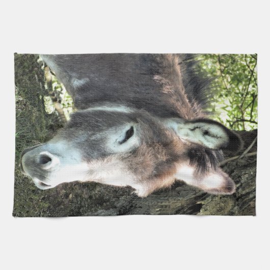 DONKEY GESCHIRRTUCH (Horizontal)