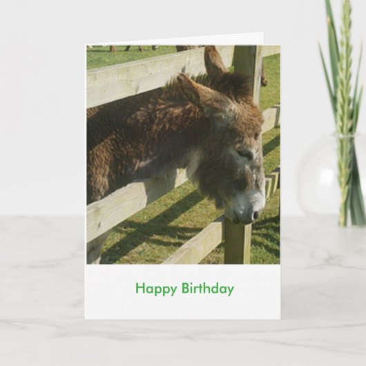 Donkey Greetings Karte (Vorderseite)