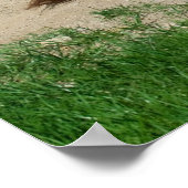 Donkey hat ein Bad Poster (Ecke)