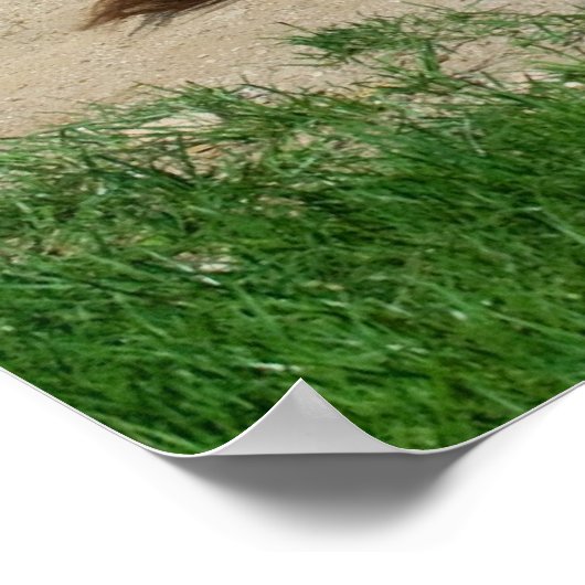 Donkey hat ein Bad Poster (Ecke)