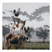 Donkey, Hund, Katze und Rasterpilze Poster (Vorderseite)