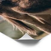 Donkey, Hund, Katze und Rasterpilze Poster (Ecke)