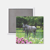 Donkey im Garden-Magneten Magnet (Vorderseite/Rückseite)