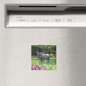 Donkey im Garden-Magneten Magnet (In Situ (Geschirrspüler))