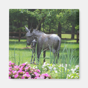 Donkey im Garden-Magneten Magnet