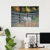 Donkey in der Herbst-Postkarte Poster (Heimbüro)