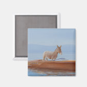 Donkey in einer Riva 2010 Magnet (Vorderseite/Rückseite)