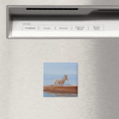 Donkey in einer Riva 2010 Magnet (In Situ (Geschirrspüler))