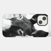 Donkey iPhone Hülle (Rückseite (Horizontal))