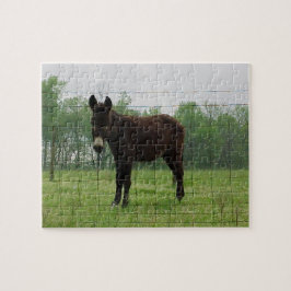 Donkey Jigsaw Puzzle