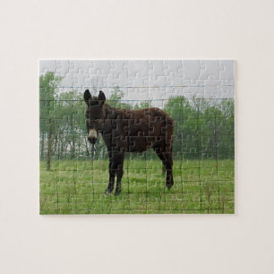 Donkey Jigsaw Puzzle