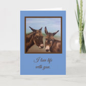 Donkey Karte (Vorderseite)