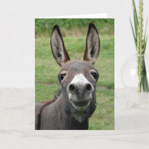 Donkey Karte