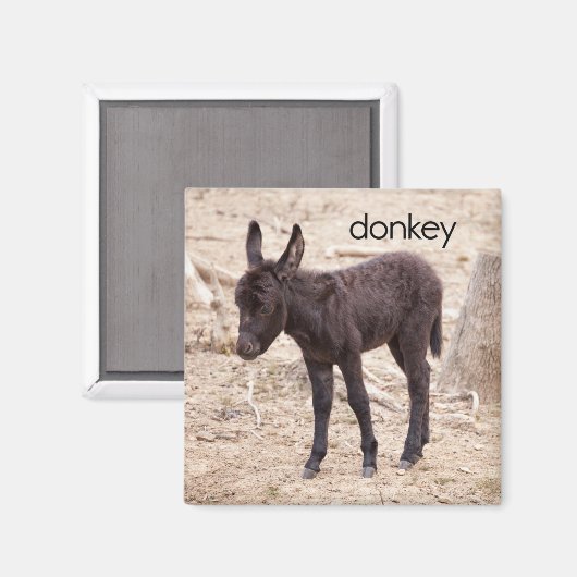 Donkey Kühlschrank Magnet (Vorderseite/Rückseite)