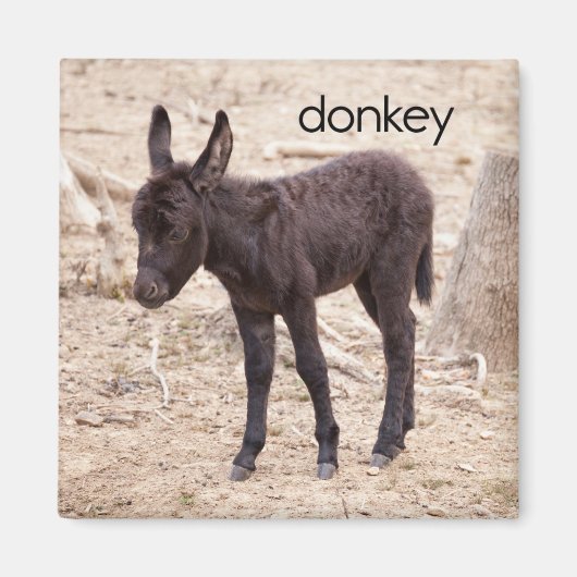 Donkey Kühlschrank Magnet (Vorne)