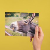 Donkey lächeln in einer Weide Postkarte