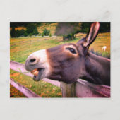 Donkey lächeln in einer Weide Postkarte (Vorderseite)