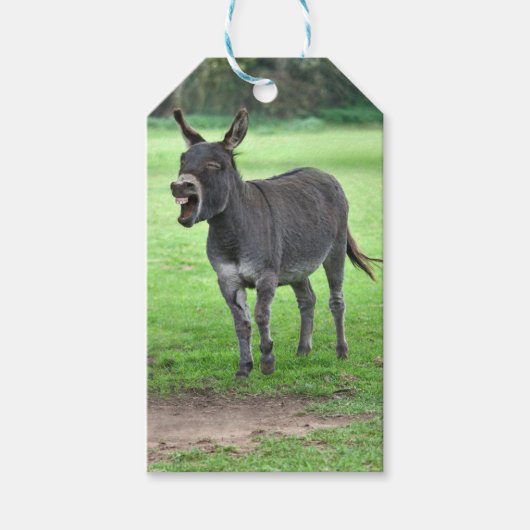 Donkey Laugh Gift Tags Geschenkanhänger (Vorderseite)