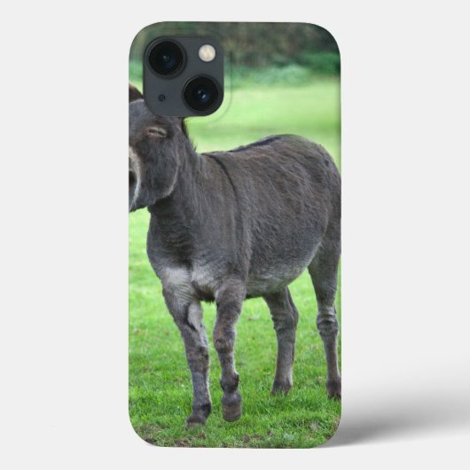 Donkey Laugh iPad Mini Fall Case-Mate iPhone Hülle (Rückseite)