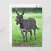 Donkey Laugh Postcard Postkarte (Vorne/Hinten)