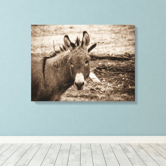 Donkey Leinwanddruck (Insitu (Holzboden))