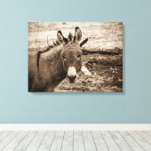 Donkey Leinwanddruck (Insitu (Holzboden))
