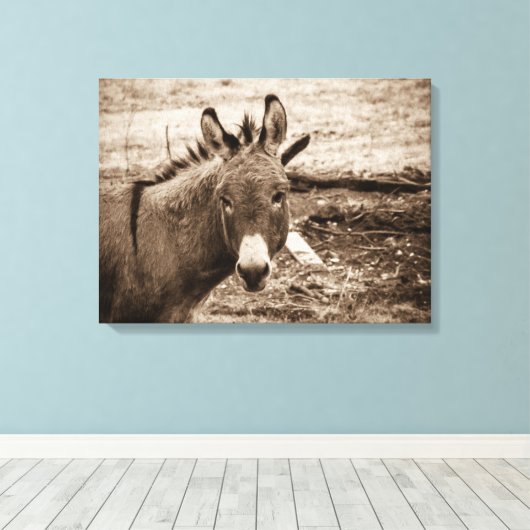 Donkey Leinwanddruck (Insitu (Holzboden))