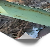 Donkey Liebe Poster (Ecke)