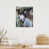 Donkey Liebe Poster (Küche)