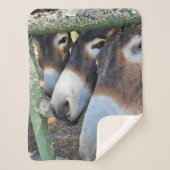 Donkey Liebe Sherpa Blanket Sherpadecke (Vorderseite)