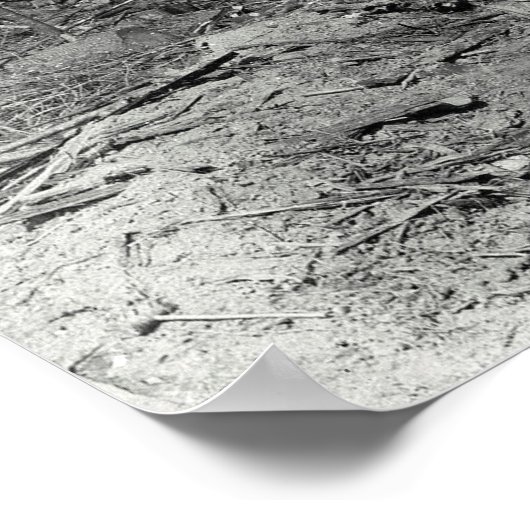 DONKEY LOGGING a HILLSIDE c. 1880 Poster (Ecke)