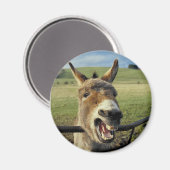 Donkey Magnet (Vorderseite/Rückseite)