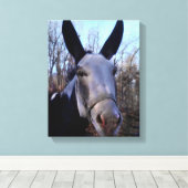 Donkey-Malerei Leinwanddruck (Insitu (Holzboden))
