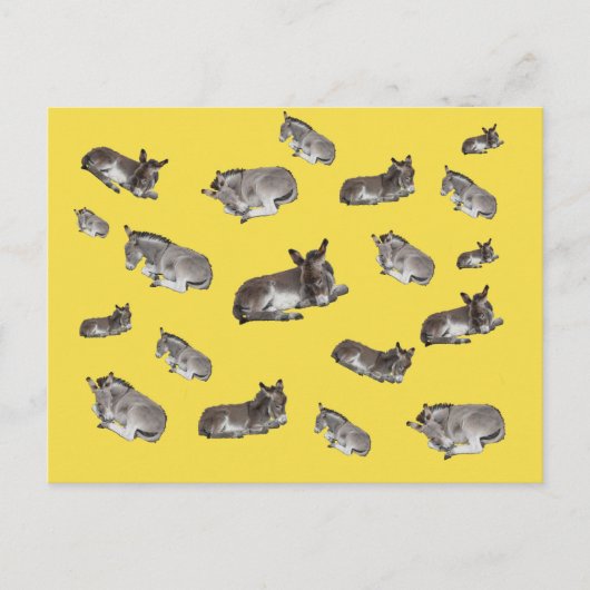 Donkey Mania Postkarte (Vorderseite)