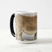 Donkey mit Bangs Laptop-Sieb Verwandlungstasse (Vorderseite Links)