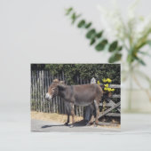 Donkey mit gelben Blumen Postkarte (Stehend Vorderseite)