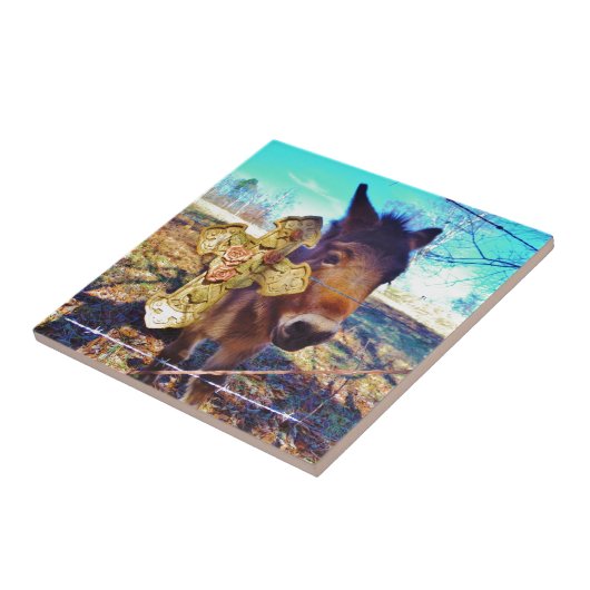 Donkey mit Rose Cross Fliese (Seite)